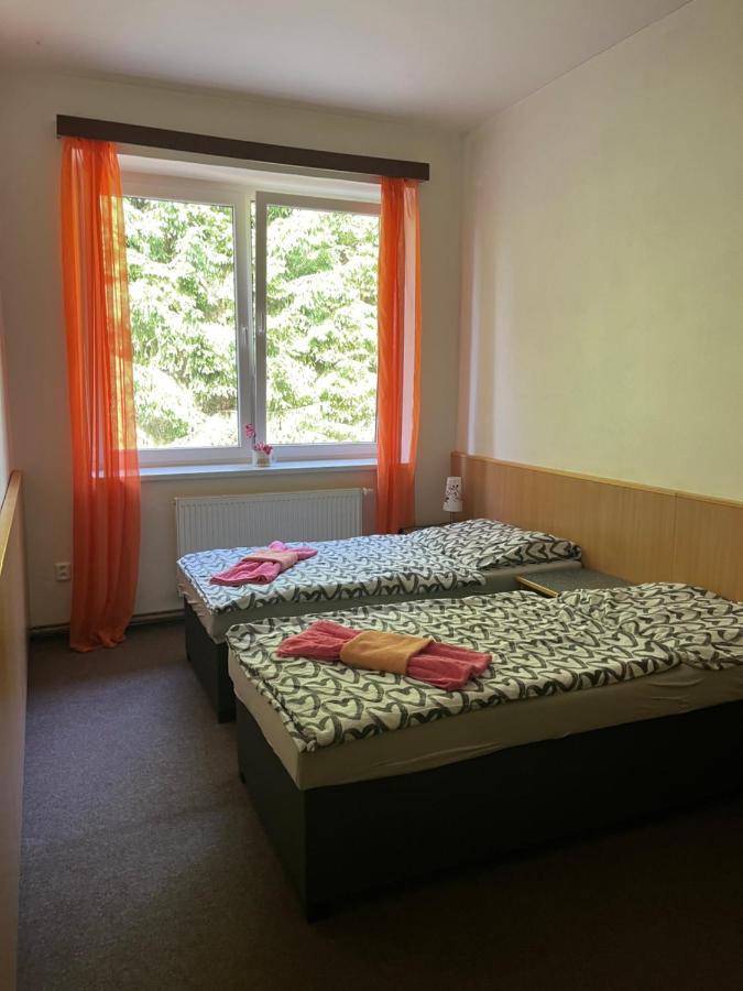 Apartman Novohradky 22 Benesov nad Cernou Extérieur photo