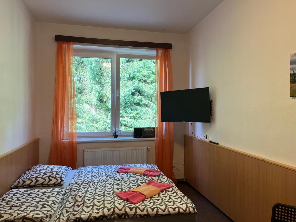 Apartman Novohradky 22 Benesov nad Cernou Extérieur photo